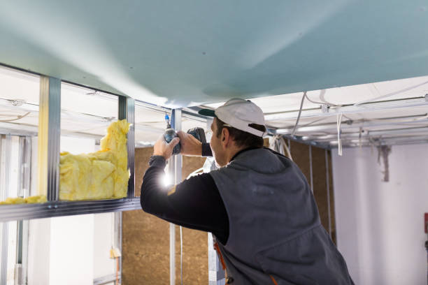 Best Spray Foam Insulation  in Rhome, TX