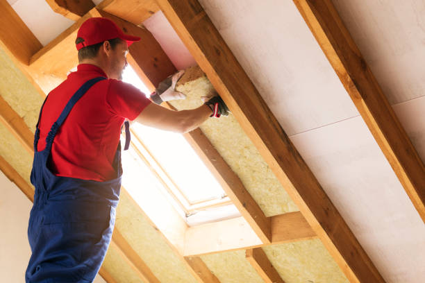 Best Attic Insulation Installation  in Rhome, TX